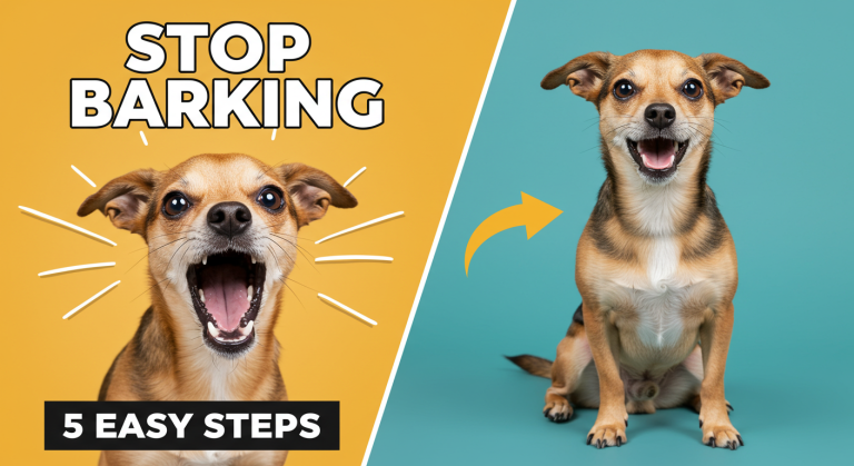 Stop Barking Dog in 5 Easy Steps