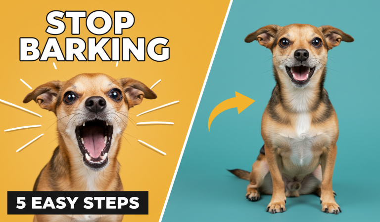 Stop Barking Dog in 5 Easy Steps