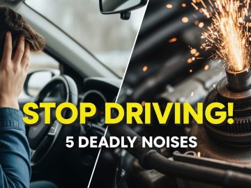 5 Engine Noises That Mean Stop Driving Now Save Your Car